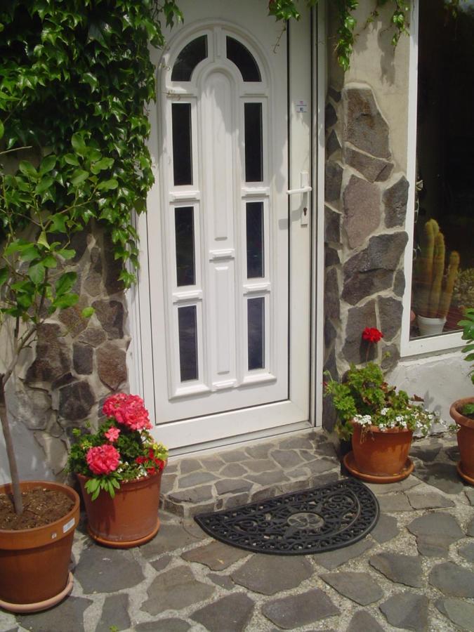 Villa Ametyst Štúrovo Екстериор снимка